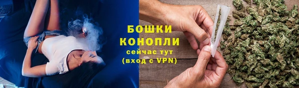 шишки Богородск