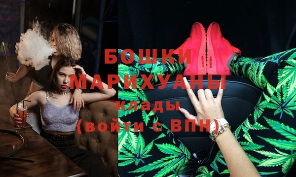 шишки Богородск