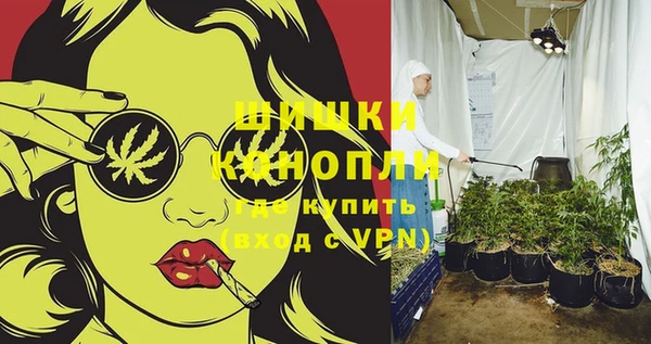 первитин Богородицк
