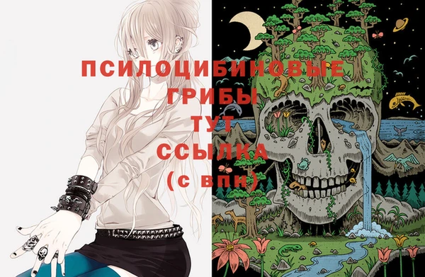 шишки Богородск