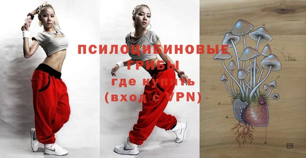 2c-b Бугульма