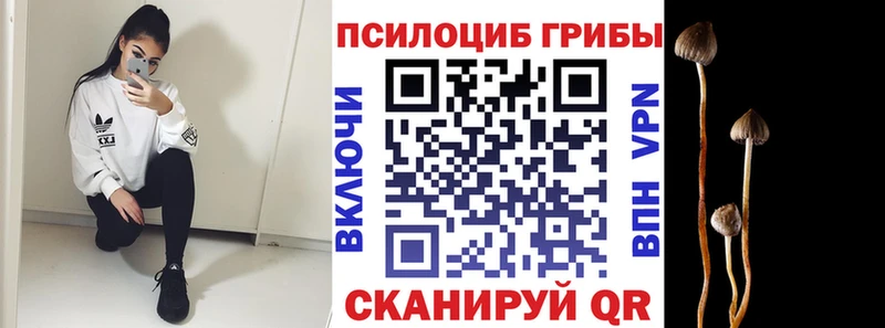 Псилоцибиновые грибы Psilocybine cubensis Свободный