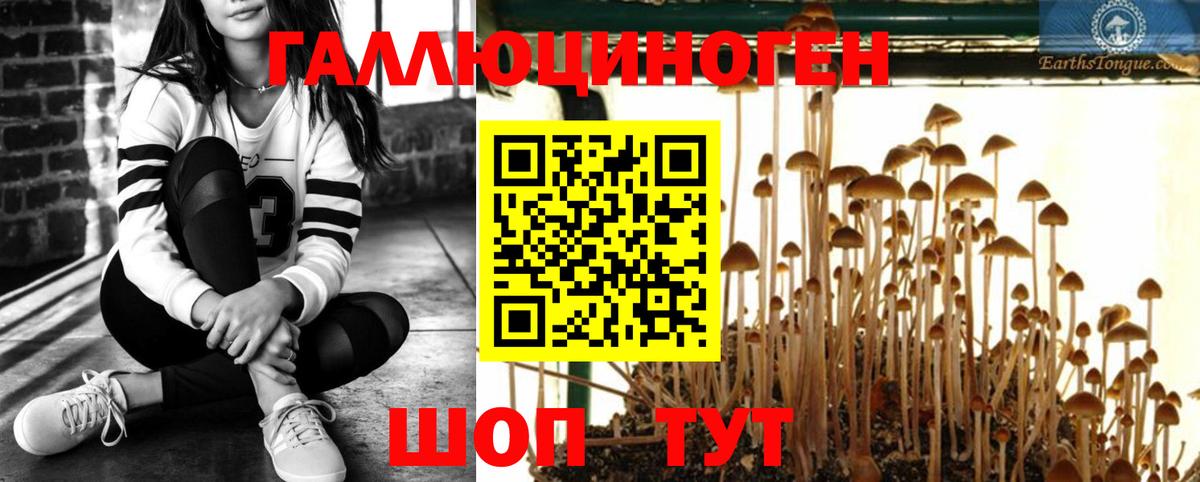 Псилоцибиновые грибы ЛСД  Вход с VPN  Галлюциногенные грибы Psilocybine cubensis  Свободный 
