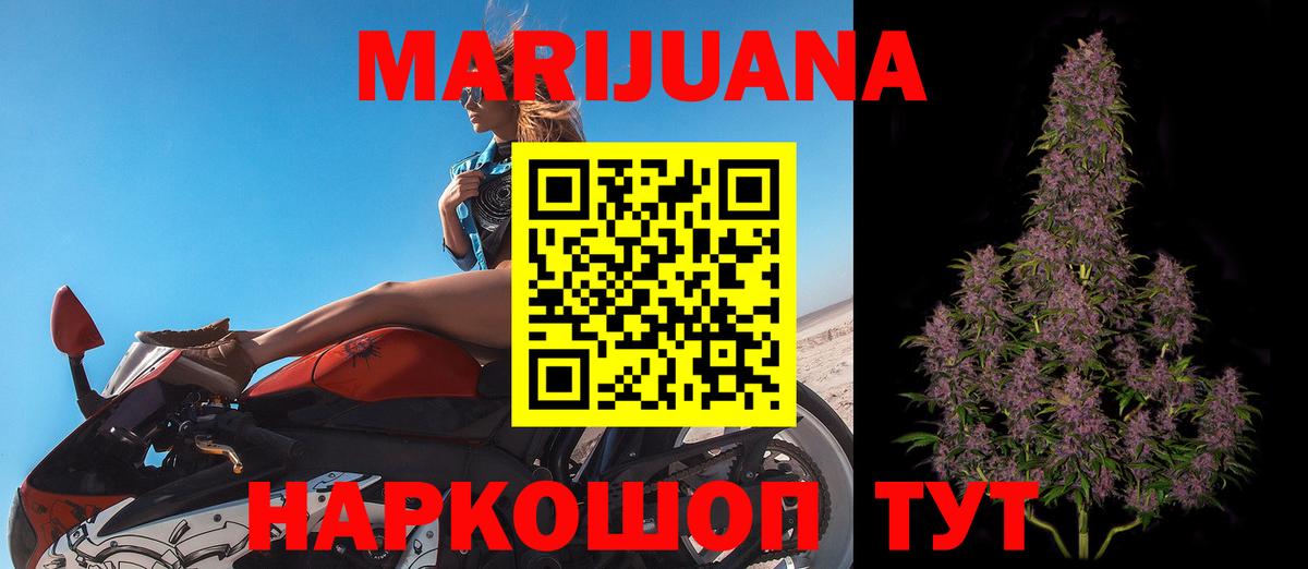 Конопля MAZAR  МАРИХУАНА SATIVA & INDICA  Свободный  Конопля сатива  Вход с VPN 